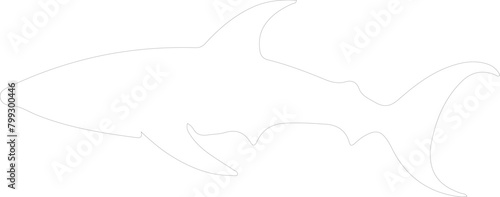dogfish outline