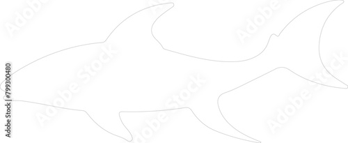 dogfish outline