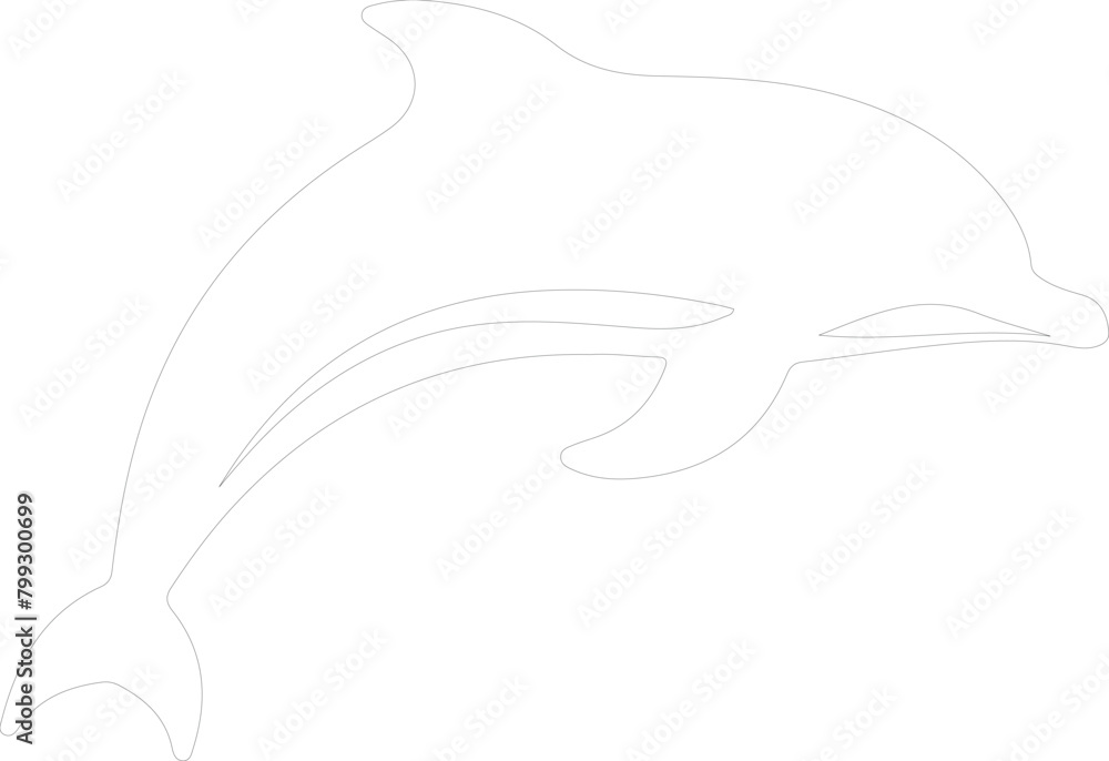 dolphin outline