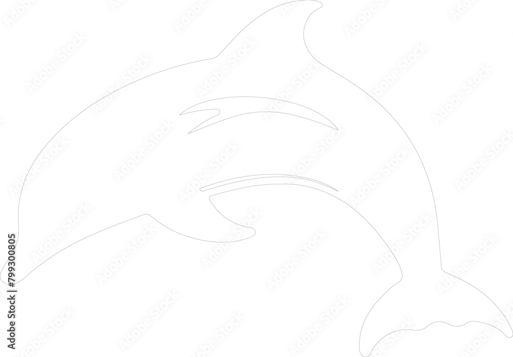 Fototapeta premium dolphin bottlenose outline