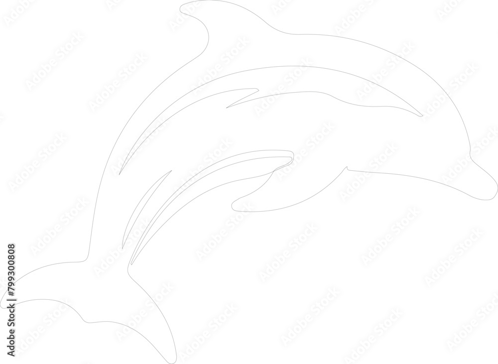 Obraz premium dolphin bottlenose outline