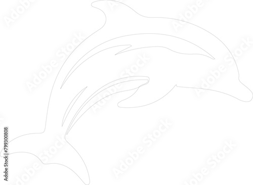 dolphin bottlenose outline