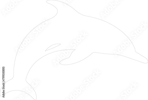 dolphin bottlenose outline