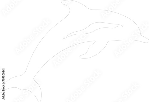 dolphin bottlenose outline