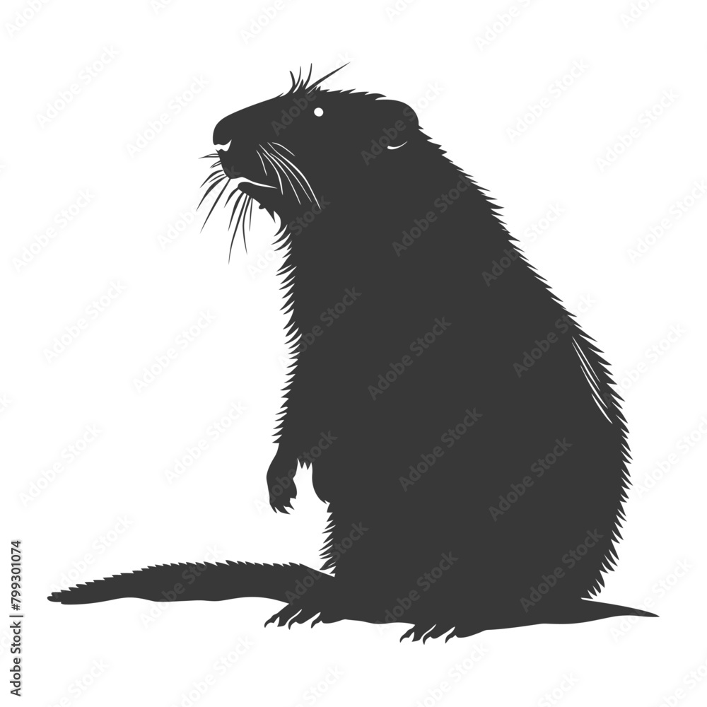 Silhouette Groundhog animal black color only full body Silhouette Groundhog animal black color only full body