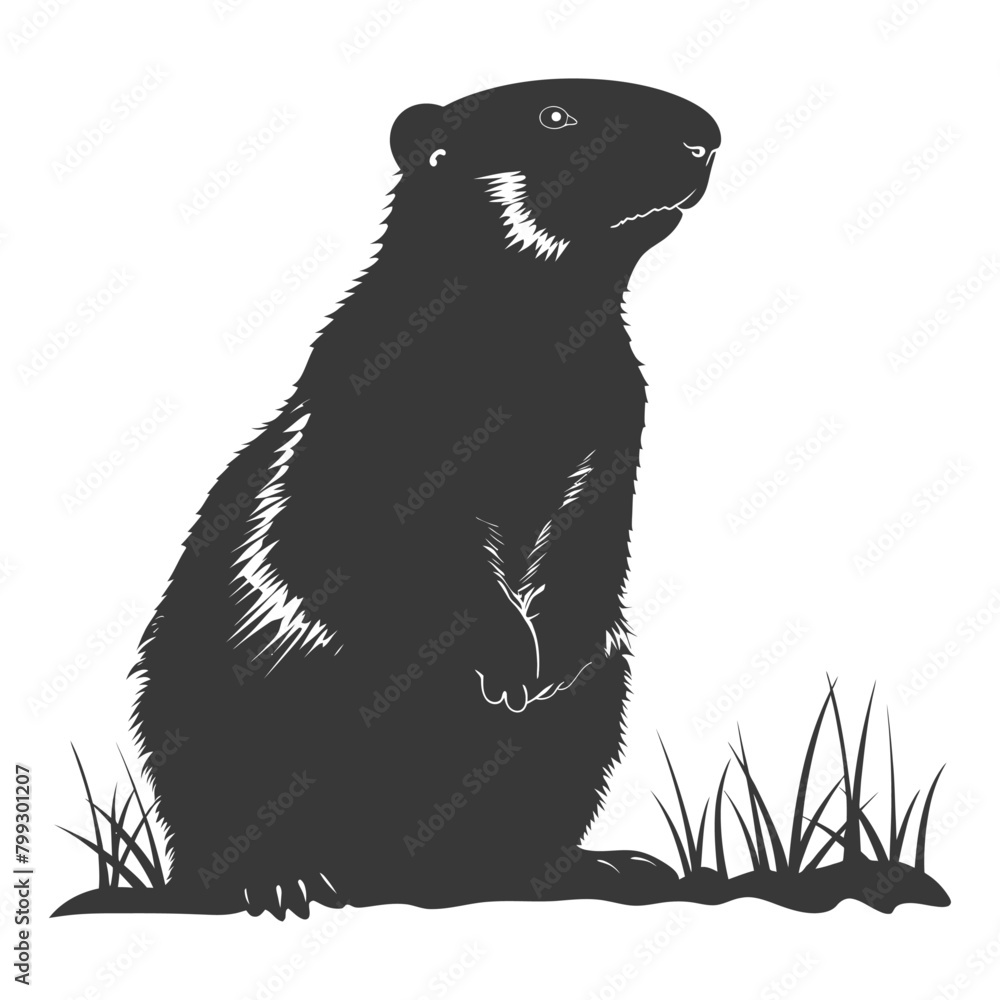 Silhouette Groundhog animal black color only full body Silhouette Groundhog animal black color only full body