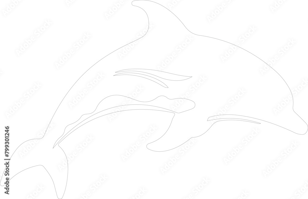 dolphin spotted outline