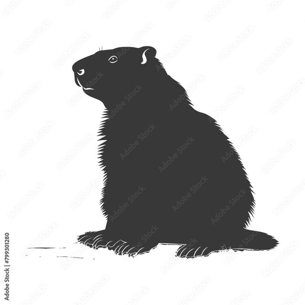 Fototapeta premium Silhouette Groundhog animal black color only full body
