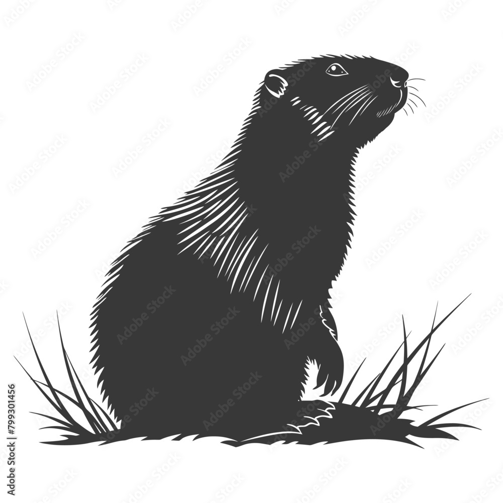Silhouette Groundhog animal black color only full body Silhouette Groundhog animal black color only full body