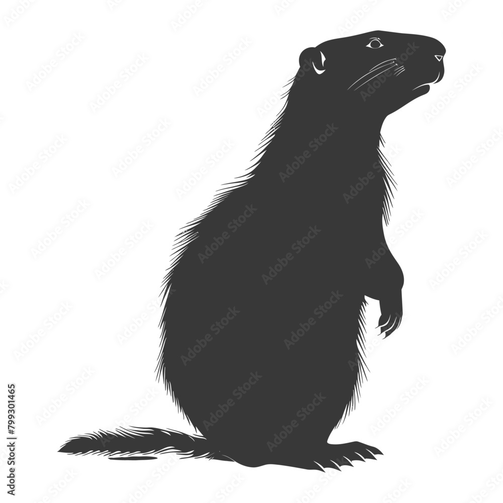 Silhouette Groundhog animal black color only full body Silhouette Groundhog animal black color only full body