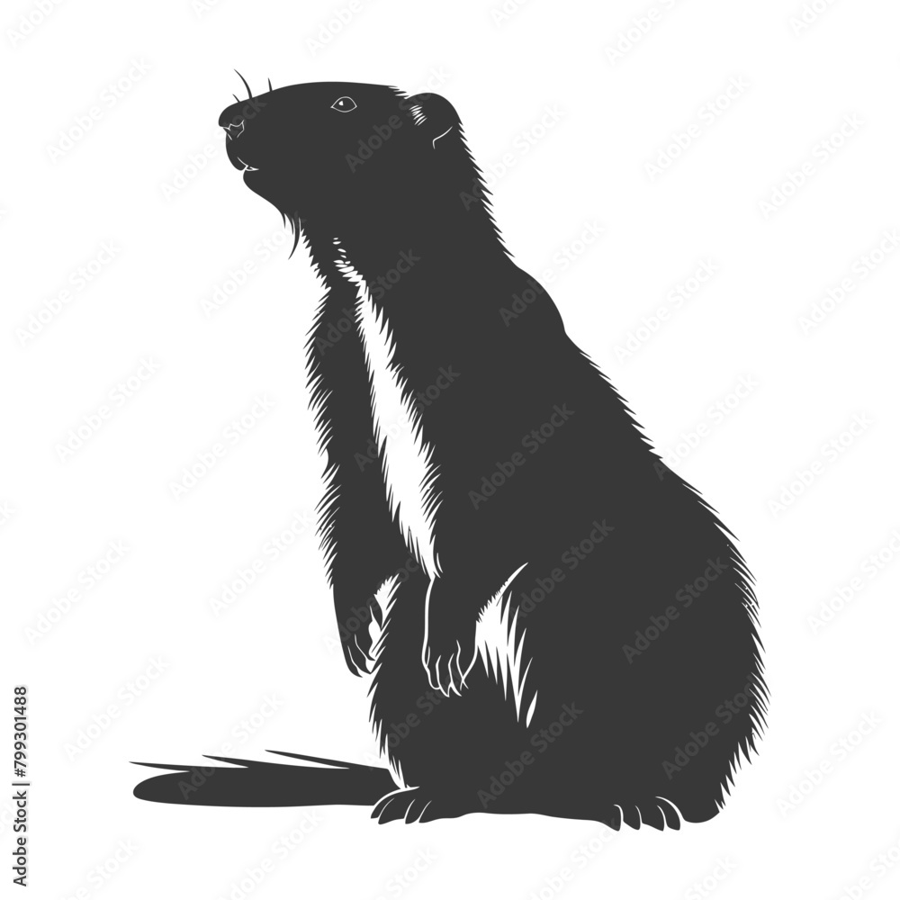 Fototapeta premium Silhouette Groundhog animal black color only full body