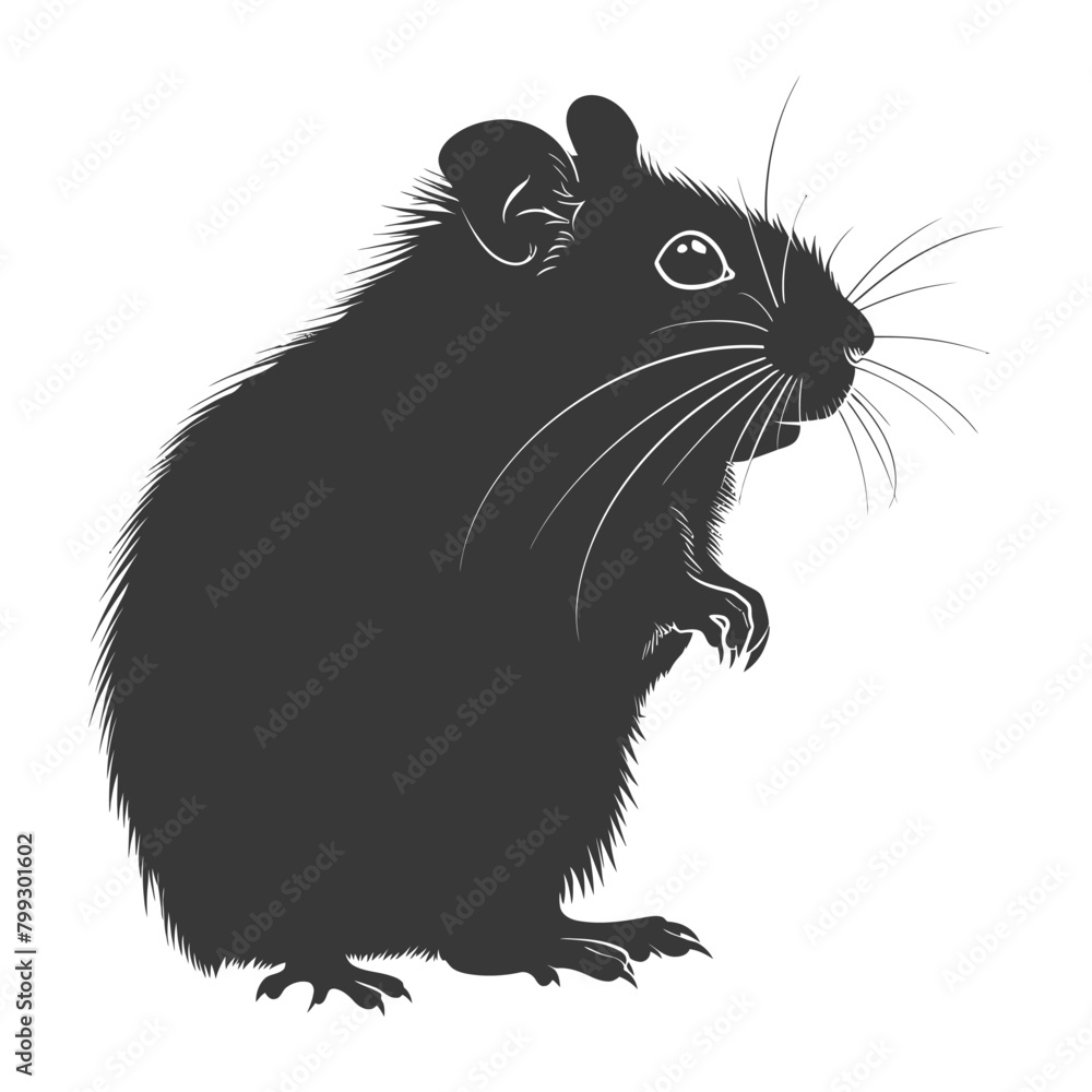 Silhouette hamster animal black color only full body Silhouette hamster animal black color only full body