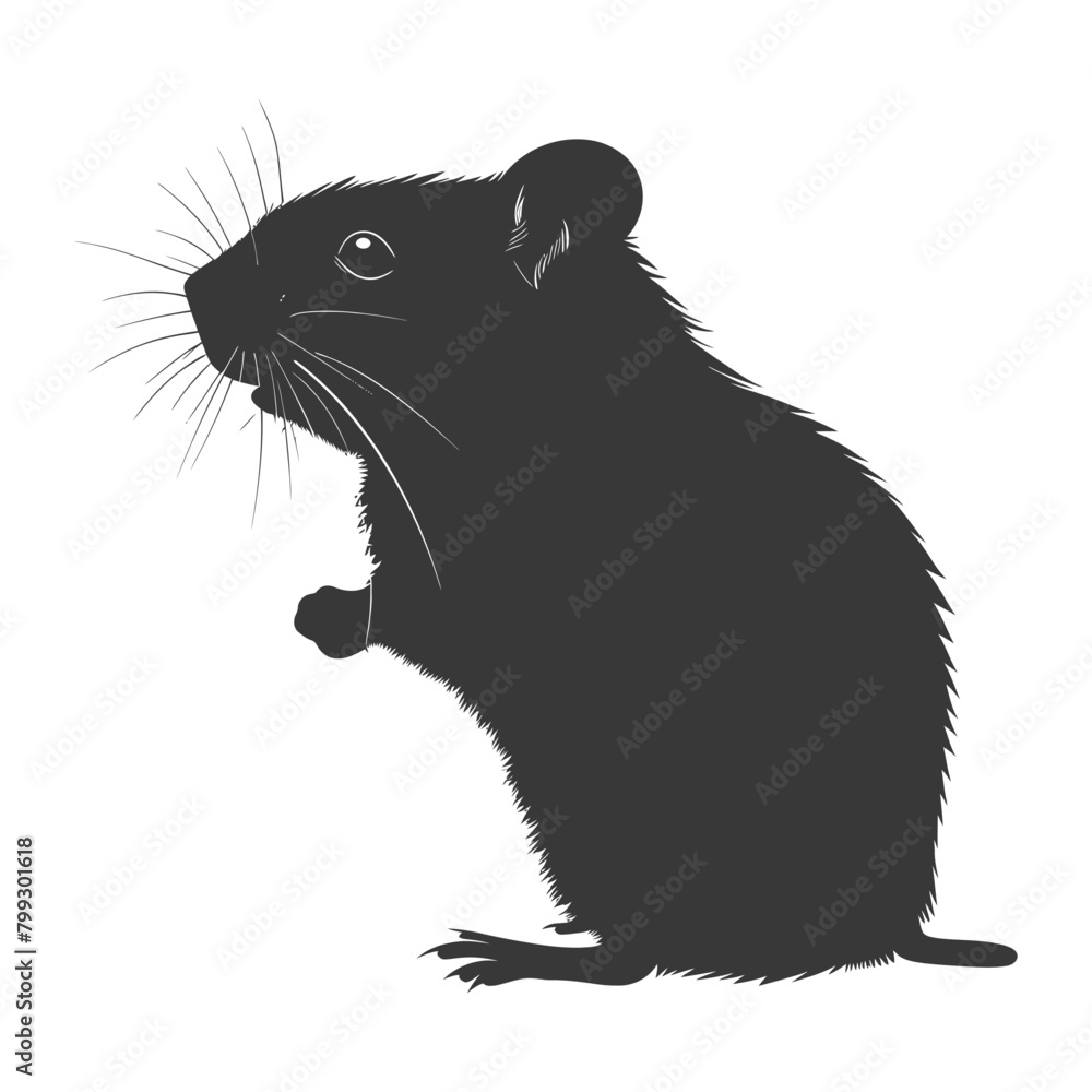 Silhouette hamster animal black color only full body Silhouette hamster animal black color only full body
