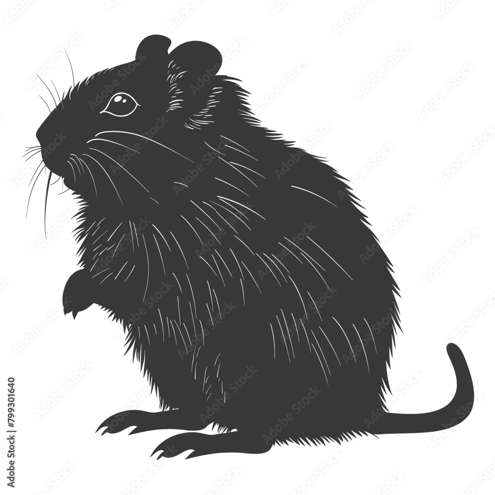 Silhouette hamster animal black color only full body Silhouette hamster animal black color only full body