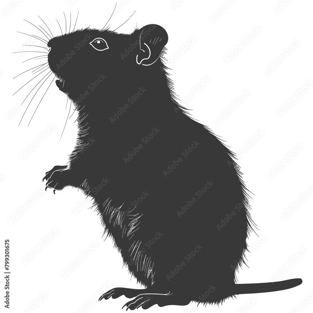 Fototapeta premium Silhouette hamster animal black color only full body