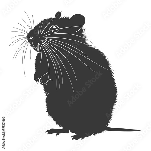 Silhouette hamster animal black color only full body