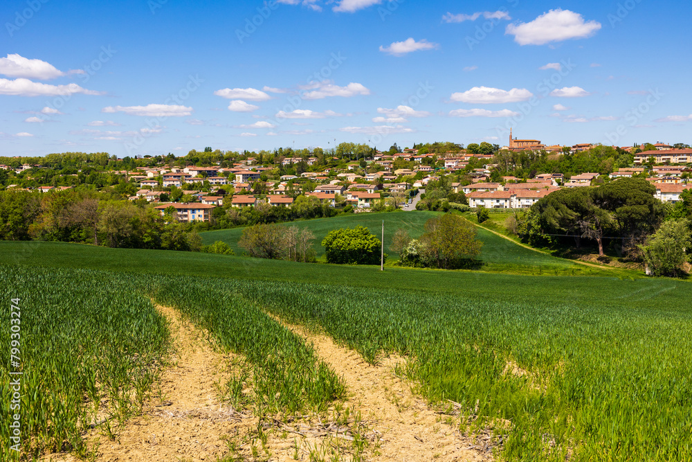 Village de Nailloux sur sa colline avec son église de briques rouges depuis un champ de blé au printemps