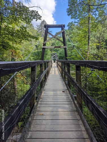 Suspense Bridge