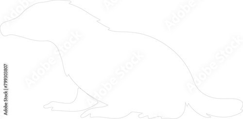 duck-billed platypus outline