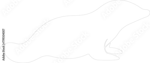 duck-billed platypus outline
