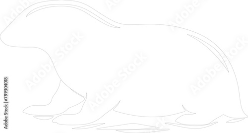 duck-billed platypus outline