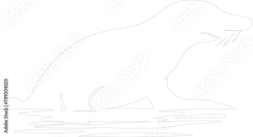 duck-billed platypus outline