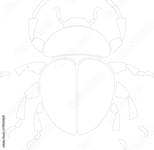 dung beetle outline