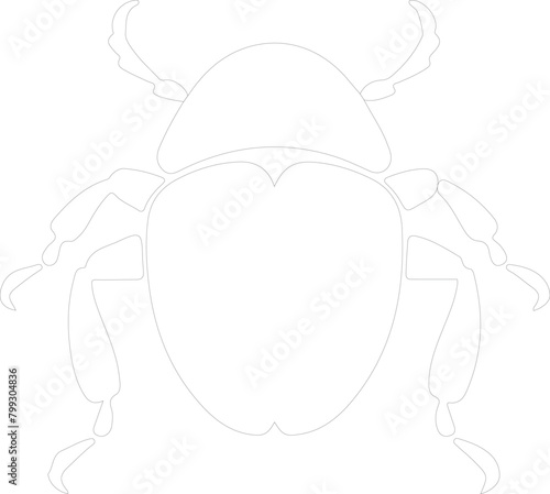 dung beetle outline