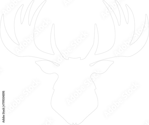 dung beetle outline