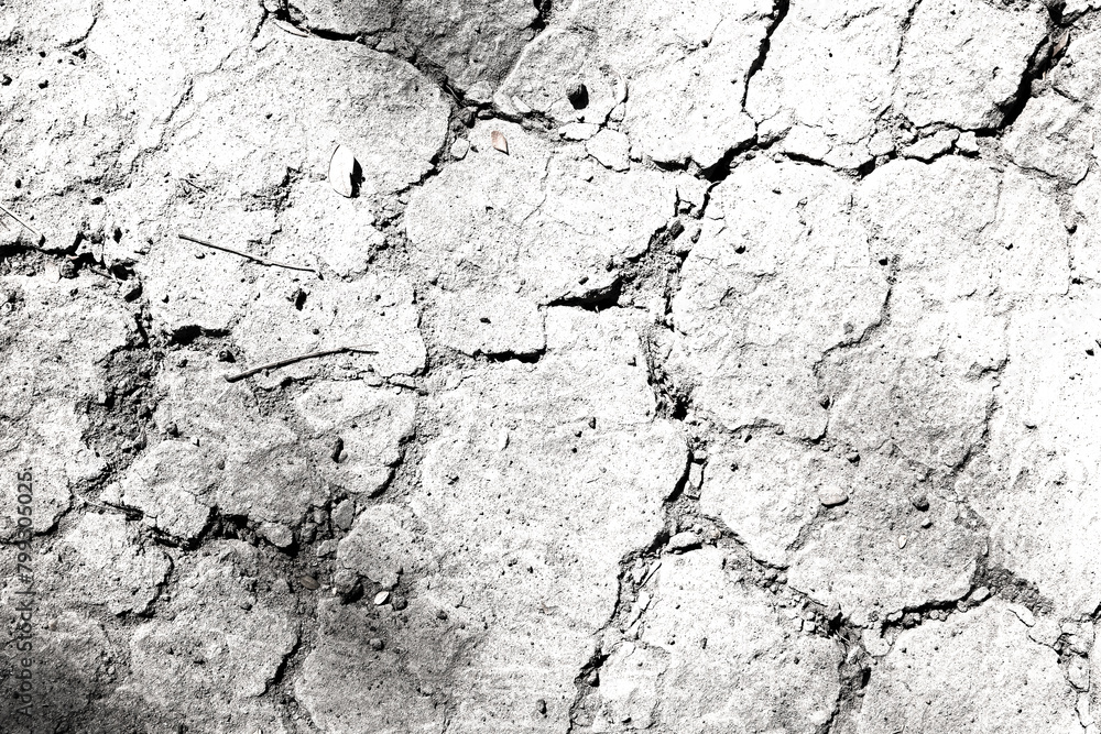 Fototapeta premium Texture soil dry crack background pattern of drought lack of water of nature white black old broken.