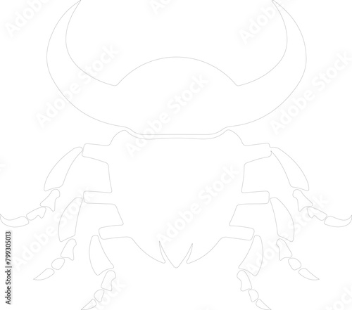 dung beetle outline