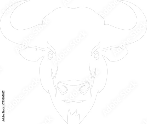 dung beetle outline