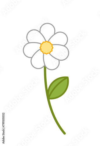 Chamomile. White summer flower. Camomile. Cartoon, vector