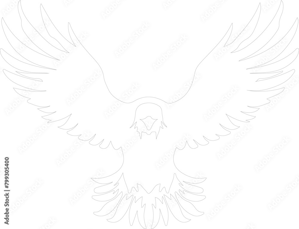 eagle outline eagle outline