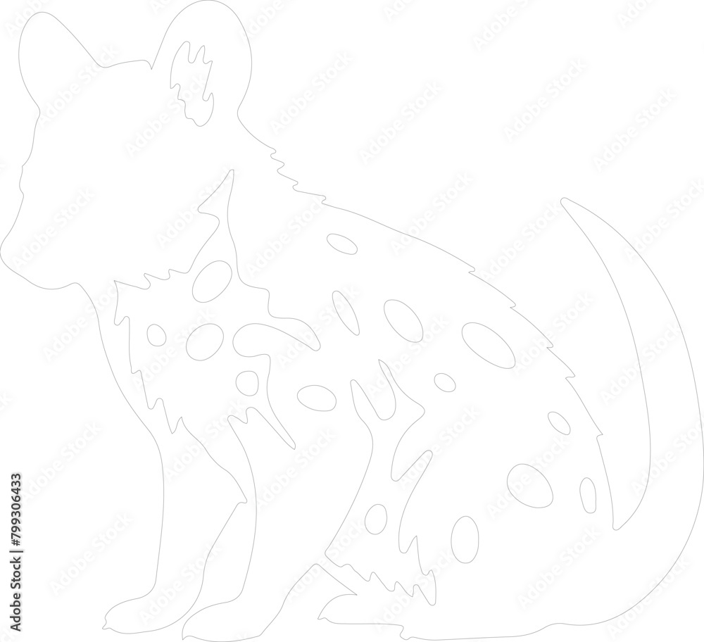 Obraz premium eastern quoll outline