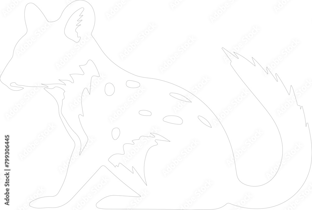 eastern quoll outline eastern quoll outline