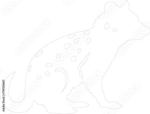 eastern quoll outline