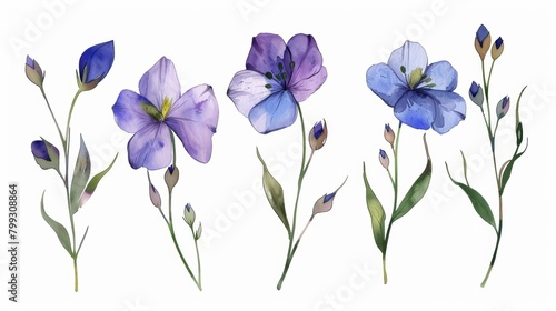 Delicate Floral Elements on Watercolor Background Generative AI