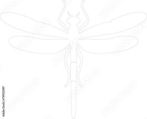 green darner dragonfly outline