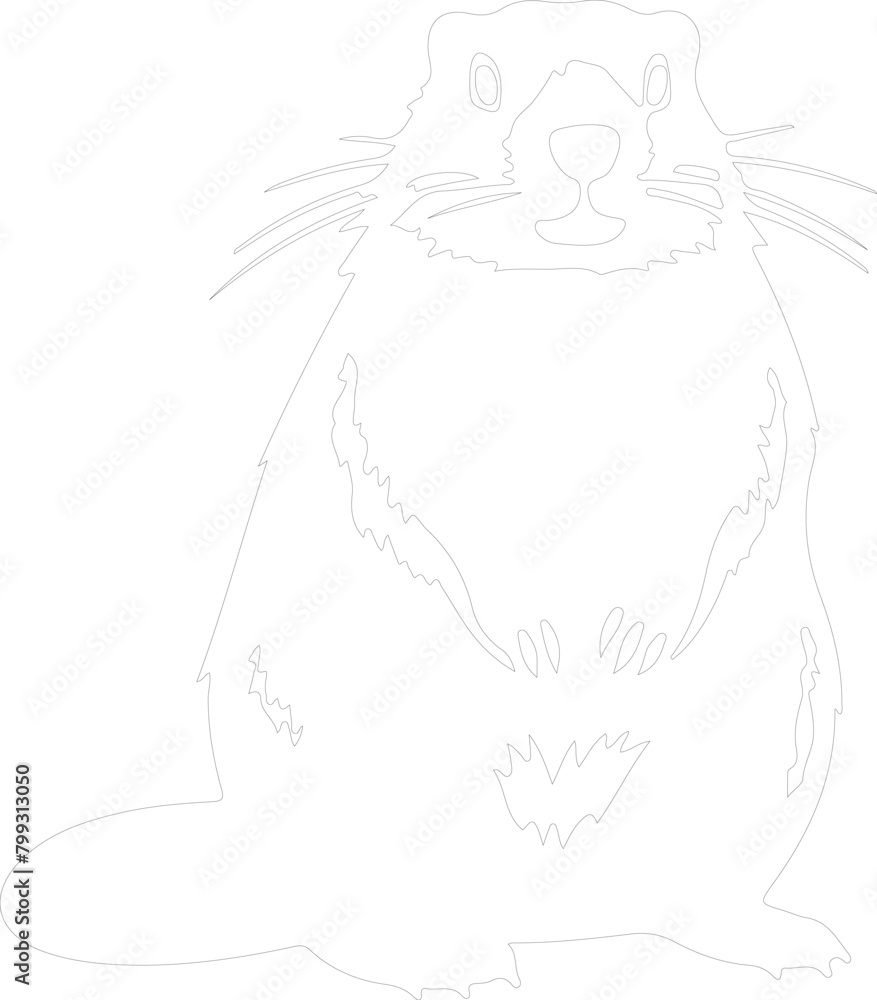 Obraz premium groundhog outline