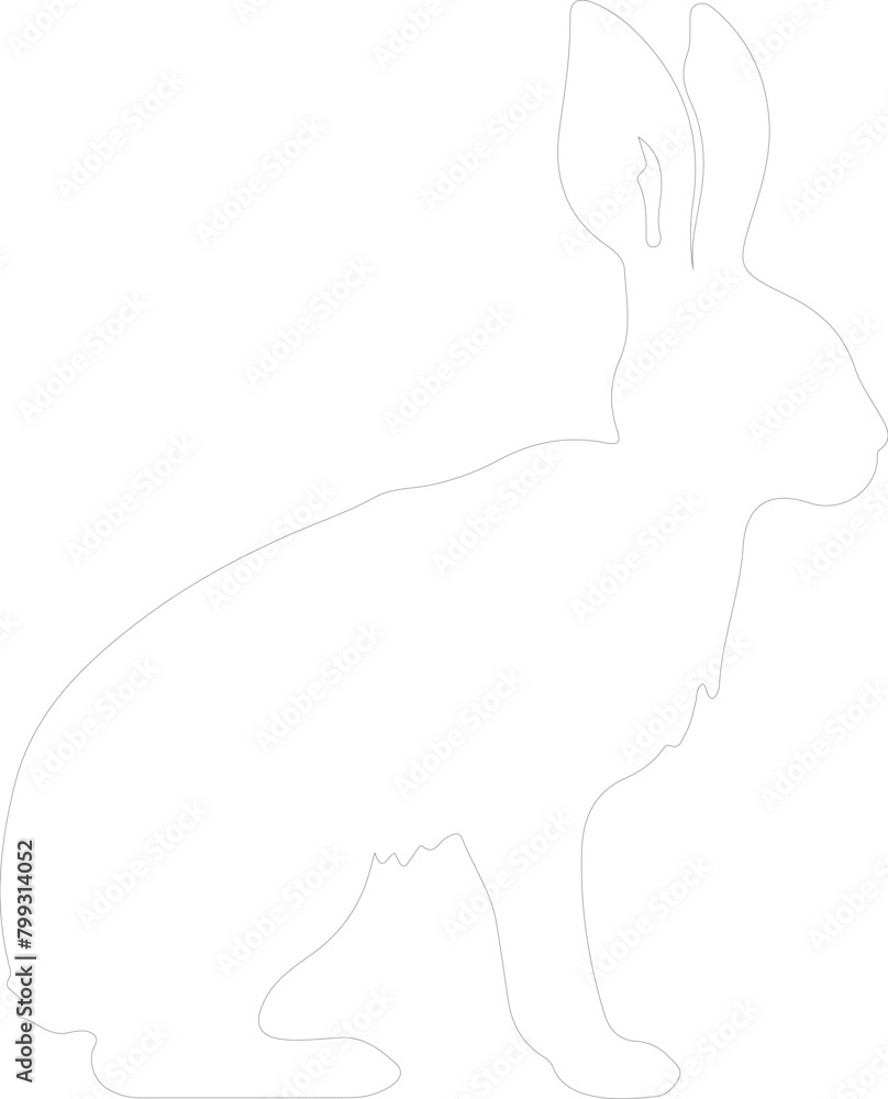 hare outline hare outline