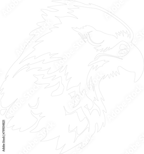 harpy eagle outline