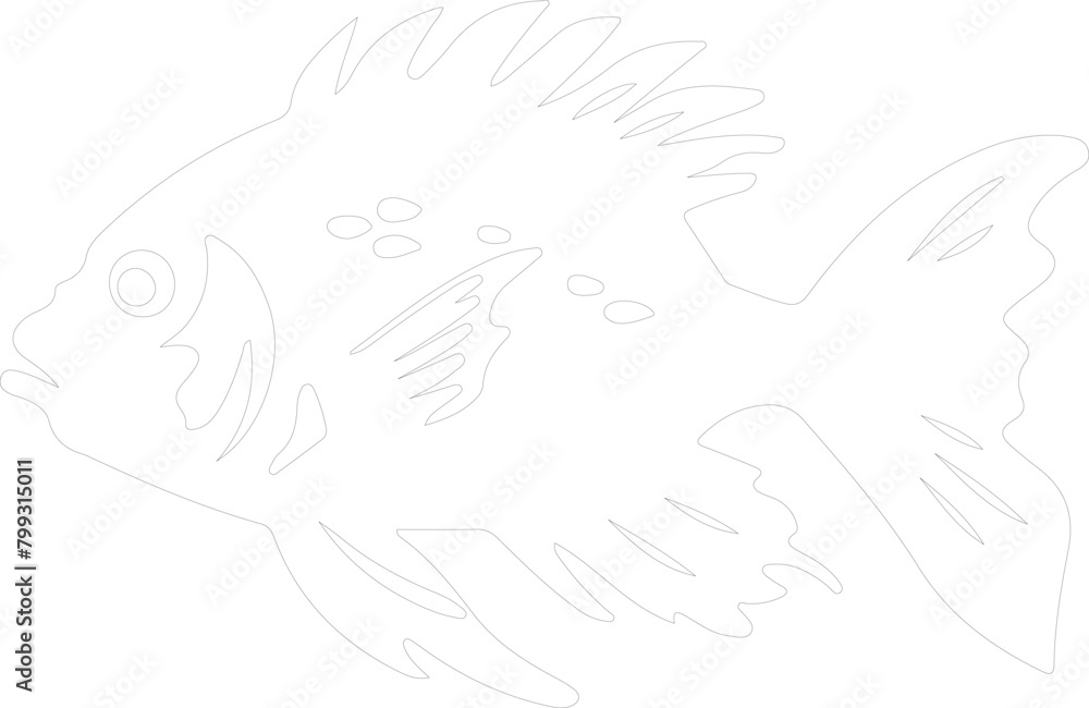 hatchetfish outline hatchetfish outline