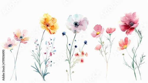 Vibrant Spring Florals on White Background Generative AI © Alex