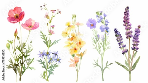 Vibrant Wildflower Bouquet on White Background Generative AI