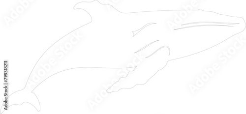 Wallpaper Mural humpback whale outline Torontodigital.ca