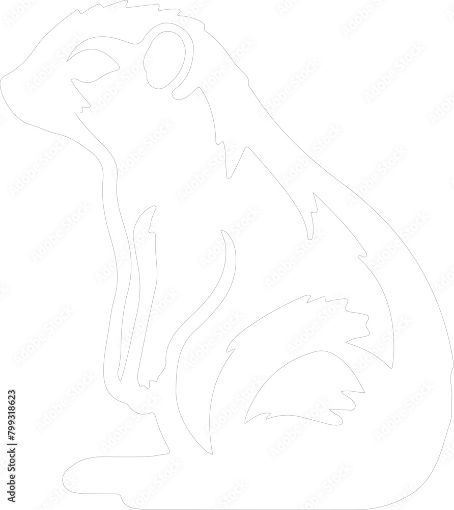 hyrax outline hyrax outline