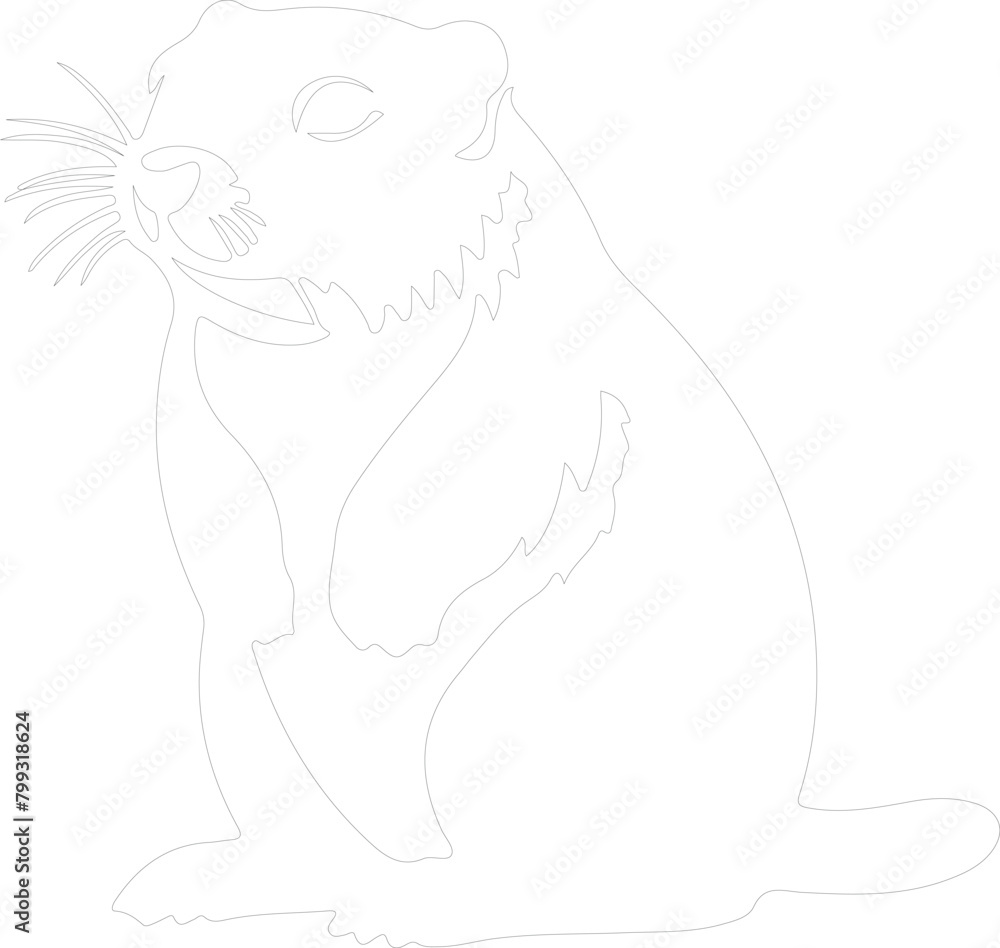 Obraz premium hyrax outline