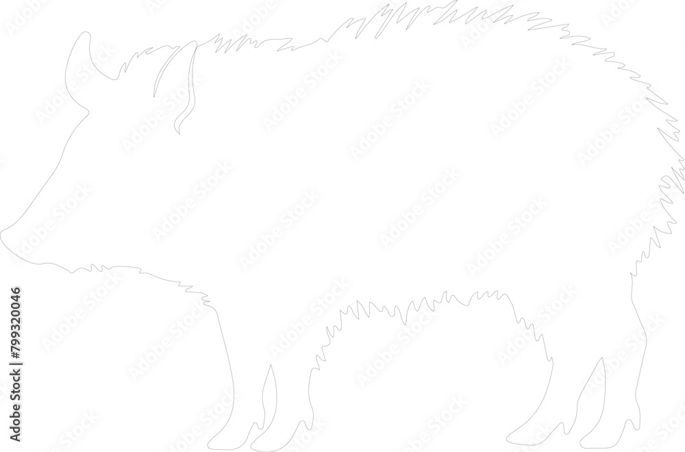 Fototapeta premium javelina outline