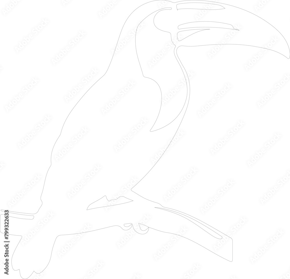 keel-billed toucan outline keel-billed toucan outline